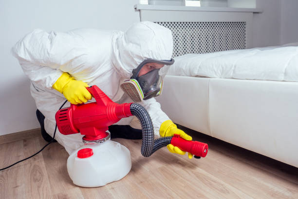 Best Fumigation Services  in Thornwood, NY